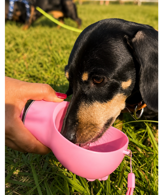 Dog drinking from a pink water bottle held by a person in a grassy area with other dogs in the background.