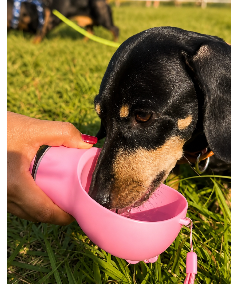 Dog drinking from a pink water bottle held by a person in a grassy area with other dogs in the background.