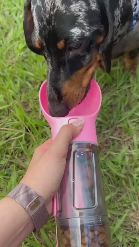 The 3-in-1 Dog Bottle For Every Walk